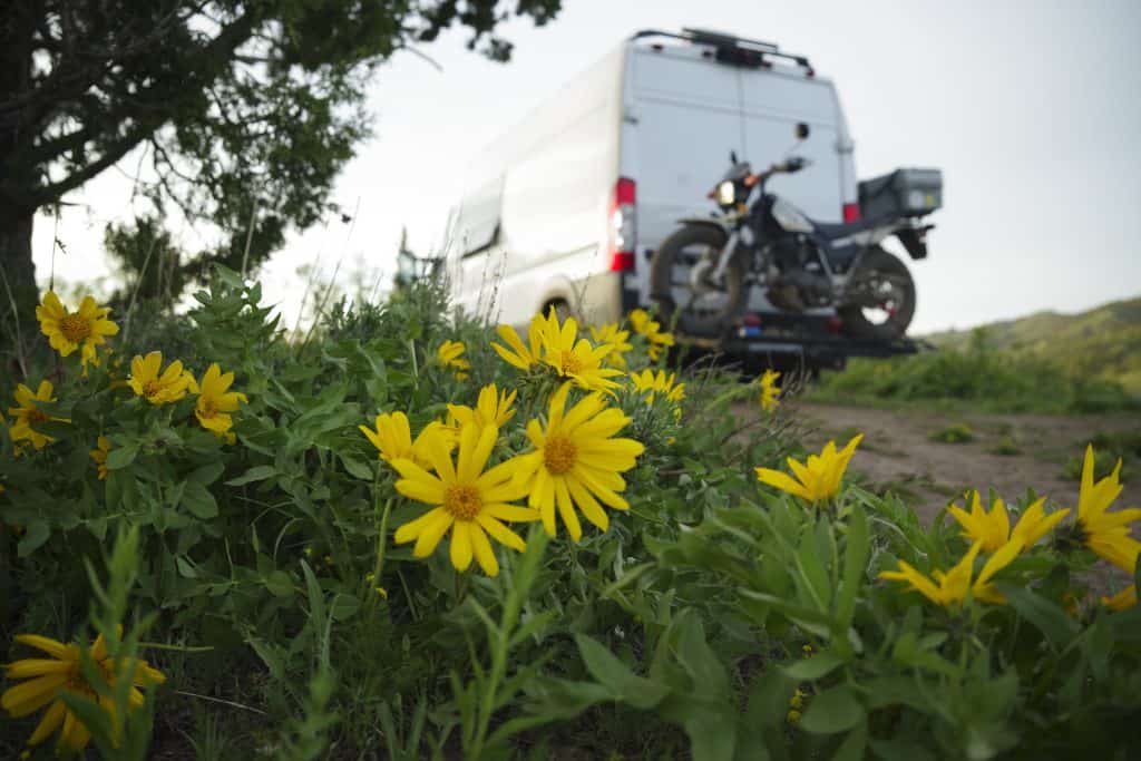 A van in a flower field dispersed camping in Wyoming | Photo: Jess Stiles | RV Today